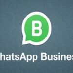 Business whatsapp