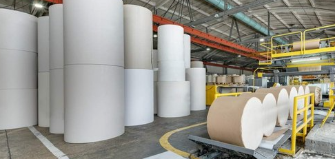 Why You Should Buy Asia Pulp & Paper Packaging Products